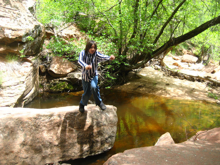 Fossils Fossils Zion National Park